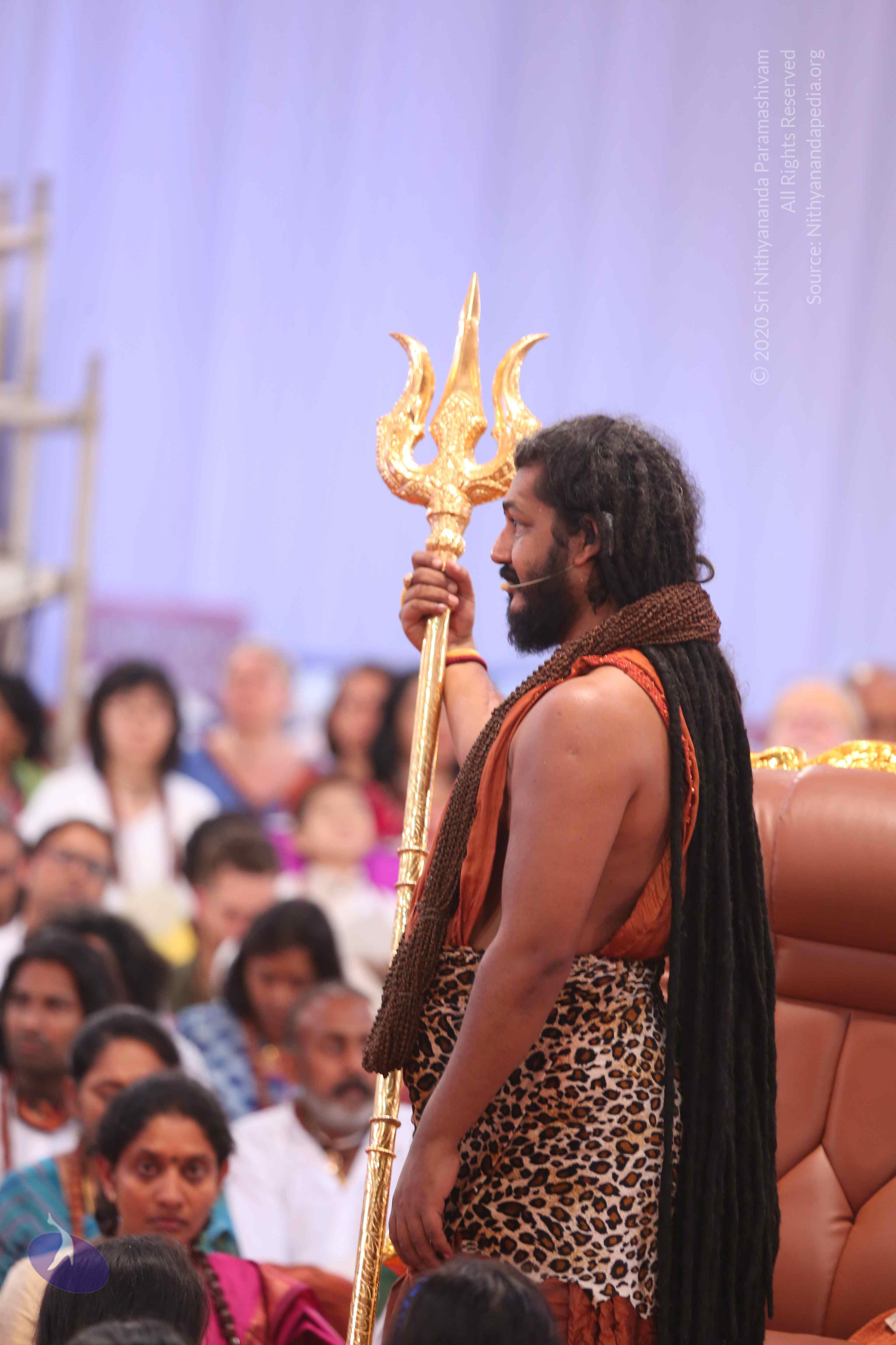 20161204_Photo_1169_IMGL5650_CMP_WM